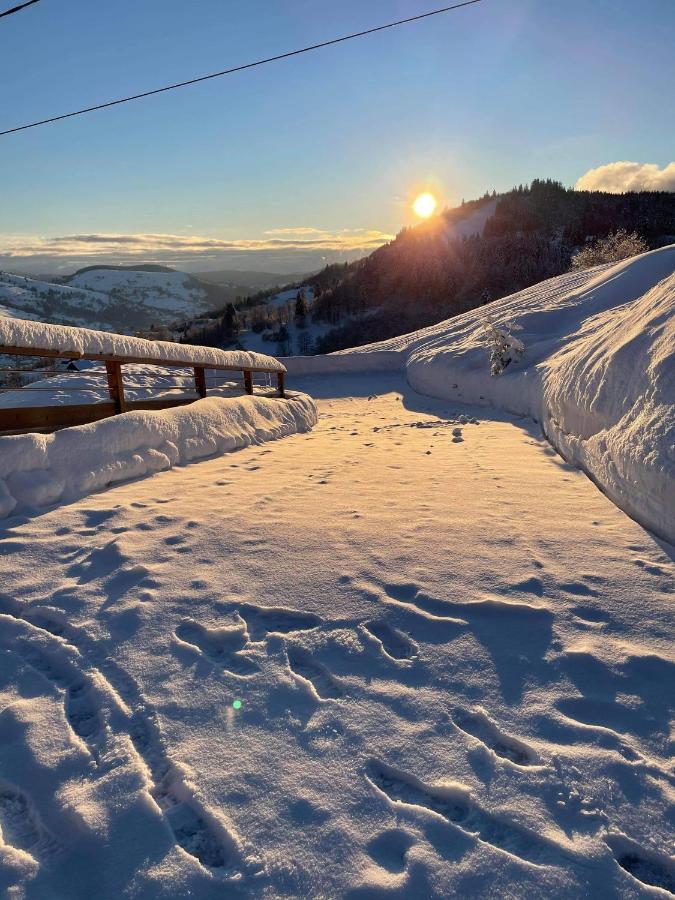 Le Cocon D'Emma Lejlighed La Bresse Eksteriør billede